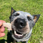 JACK'S PREMIUM Rabbit Ear Treat -Dehydrated Dog and Cat Treats - Whole Rabbit Ear with Fur - Single Ingredient - High Value