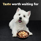 Cesar Simply Crafted Adult Wet Dog Food Meal Topper, Chicken, 1.3 oz. (10 Count, Pack of 1)