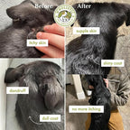 Wholistic Pet Organics Wild Alaskan Salmon Oil for Dogs - 500 Soft Gels - Rich Omega 3 Fish Oil with EPA & DHA for Skin, Coat, Joint, and Heart Health - Choice for Dog Skin & Coat Care