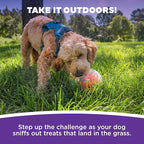 Outward Hound Nina Ottosson Topsy Treat Ball Dog Puzzle Interactive Treat Puzzle Dog Enrichment Dog Toy, Level 1 Beginner, Orange