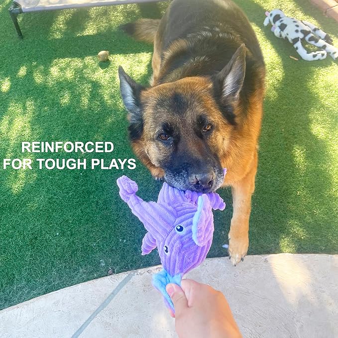 Jalousie Multipack Dog Squeaky Toys Strong Almost Indestructible, with Added Liner for Longer Play Dog Chew Toys (Medium to Large Breeds, 5 Pack Corduroy)