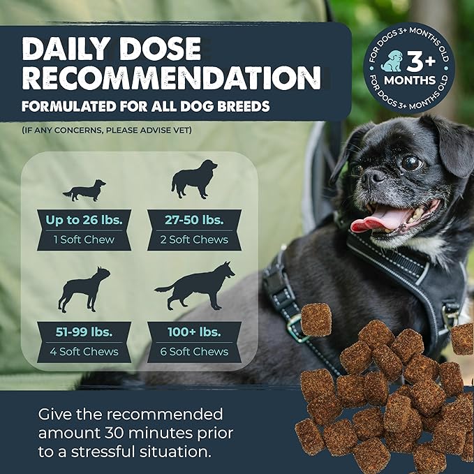 Mighty Paw Calming Chews for Dogs with Melatonin - Vet Formulated Dog Sleep Aid - Puppy & Large Pet Treats - Waggables Calm -Composure Calming Chews for Stress & Relaxation, 120 Count (Made in USA)