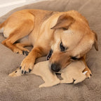 SPOT Dura-Fused Leather Bear Dog Toy – Durable Real Leather & Jute Chew Toy with Squeaker, Double-Stitched for Moderate Chewers, Medium & Large Dogs, 11.5in