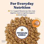 Solid Gold Dry Cat Food for Indoor Cats of All Ages - W/Lamb, Brown Rice, Barley, Probiotics & Fiber for Gut Health- Holistic & Healthy Cat Kibble for Kittens & Adults - Dry Kibble for Cats - 12 LB