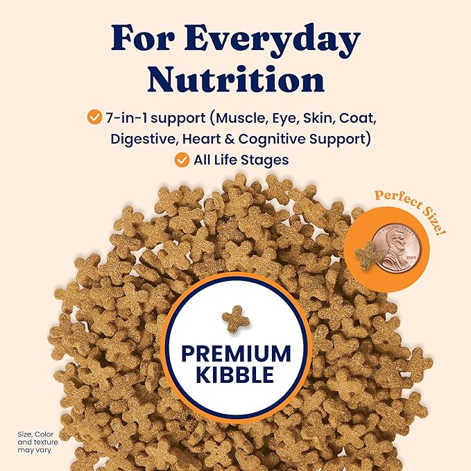 Solid Gold Dry Cat Food for Indoor Cats of All Ages - W/Lamb, Brown Rice, Barley, Probiotics & Fiber for Gut Health- Holistic & Healthy Cat Kibble for Kittens & Adults - Dry Kibble for Cats - 12 LB