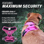 Doggie Design Venture Paw No Pull Dog Harness - Simple Adjustable Puppy Harness - Anti Pull Dog Collar for Walks and Outdoor Adventures - Wild Raspberry, L