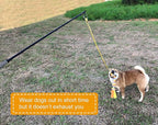 Dewonch Flirt Pole Dog Toys for Training & Exercise,Durable Teaser Stick with Fleece Rope Lure for Medium & Large Pets to Fetch Chase Pull and Tug of War (Yellow, POLE-39.5 inches)