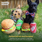 Huxley & Kent Funny Dog Toy w/Squeaker – Power Plush Squeaky Dog Toys for Small, Medium & Large Dogs – Soft Stuffed Animal for Indoor Play & Fetch - Dr Pooper, Large