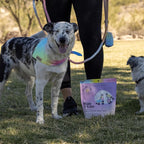 Ride & Vibe Dog Treats Salmon Jerky Snack Bars, 16 oz Bag, Puppy Training Treats, Natural Superfood Grain Free, Wild Caught Salmon, Superfoods, Corn, Poultry & Soy Free