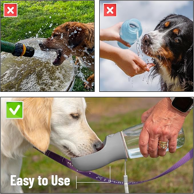 Mr. Pen Portable Dog Water Bottle, 19 oz, Large, Grey, Travel Dog Water Bottle Dispenser, Not Dishwasher Safe