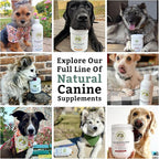 Wholistic Pet Organics Canine Complete - Dog Multivitamin Powder - 1 Lb - Daily Dog Vitamins and Supplements for Homemade Food - Immune System, Skin, Coat & Overall Health - Small and Large Breed