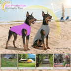 2 Pack Dog Shirts, Summer Lightweight Dog T-Shirts Sleeveless Vest, Breathable Pet Clothes Tank Top for Large Medium Dogs, Purple + Gray (L)