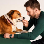 Jinx Beef Bites, Soft Jerky Dog Treats, Bite-Sized Snack, Low-Calorie and Packed with Flavor, Slow-Smoked Real Beef & Liver, No Fillers, 5oz (Pack of 2)