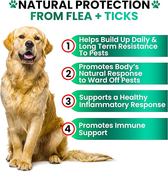 Flea and Tick Prevention for Dogs Chewables - Made in USA - Natural Flea and Tick Chews Supplement - Oral Pills for Dogs - Pest Defense - All Breeds and Ages - 120 Soft Tablets
