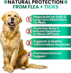 Flea and Tick Prevention for Dogs Chewables - Made in USA - Natural Flea and Tick Chews Supplement - Oral Pills for Dogs - Pest Defense - All Breeds and Ages - 120 Soft Tablets