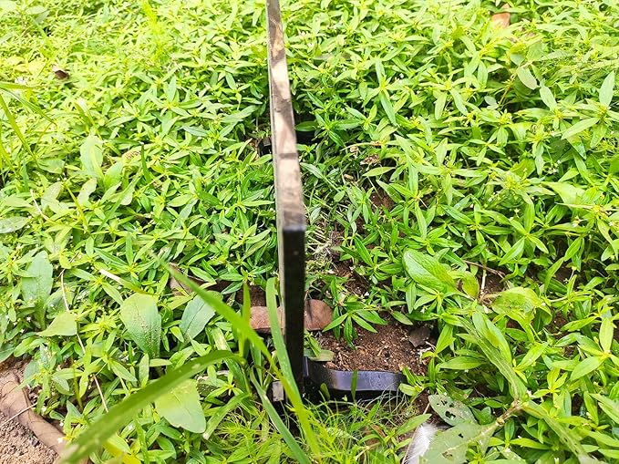 ODB Personalized Pet Memorial Stones, Black Granite Memorial Garden Stone Engraved with Photo, Gifts for Someone Who Lost a Loved One, or Pet, Dog, Cat (Style 2)