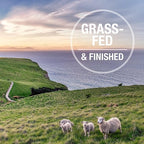 Feline Natural High Protein Dry Cat Food, Freeze-Dried Diet with 98% Meat, Organs & Seafood, No Peas, Grains, or Artificial Additives, Made in New Zealand, Lamb & King Salmon, 3.5oz (Pack of 2)