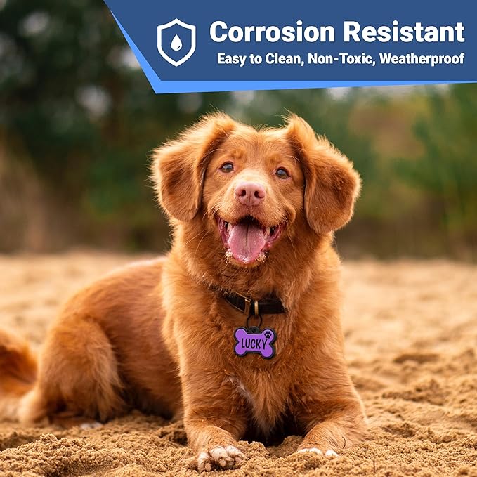 GoTags Silent Silicone Dog Tags, Personalized Soundless Pet Tag Engraved with Unique Custom Designs, for Dogs and Cats Small Medium and Large 6 Bright Colors (Round)