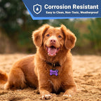 GoTags Silent Silicone Dog Tags, Personalized Soundless Pet Tag Engraved with Unique Custom Designs, for Dogs and Cats Small Medium and Large 6 Bright Colors (Round)