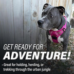 Doggie Design Venture Paw No Pull Dog Harness - Simple Adjustable Puppy Harness - Anti Pull Dog Collar for Walks and Outdoor Adventures - Wild Raspberry, XL