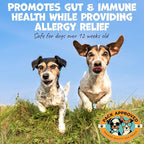 Dog Peanut Butter - Aids Dog Itching Skin Relief & Allergy Support with Colostrum - Contains Probiotics for Dogs Allergies and Itchy Skin - Allergy (239g)