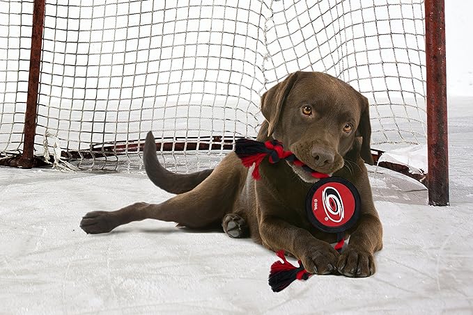 Pets First NHL Carolina Hurricanes Puck Toy for Dogs & Cats. Play Hockey with Your Pet with This Licensed Dog Tough Toy Reward!