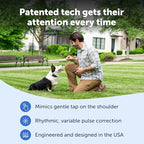 PetSafe Pro Dog Trainer with Remote – Waterproof Training Collar – 1000 ft Range – Tone, Vibration and 19 Levels of Static - Add-A-Dog Compatible – Sleek Remote Training Collar