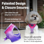 Doggie Design Dog Harness - No Choke Dog Harness, Dog Vest, Mesh Polyester, Pet Harness, Simple Step in and Go Design, Harness for Dog - Raspberry Sundae, M