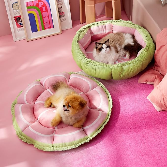 Lesure Cat Beds for Indoor Cats - Washable Cute Cat Beds with Versatile Dual-Use Design, Reversible Donut Pet Bed for Puppy and Kitten, 21x21x7 Inches