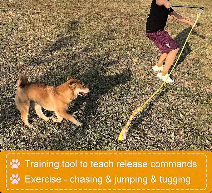 Dewonch Flirt Pole Dog Toys for Training & Exercise,Durable Teaser Stick with Fleece Rope Lure for Medium & Large Pets to Fetch Chase Pull and Tug of War (Yellow, POLE-39.5 inches)