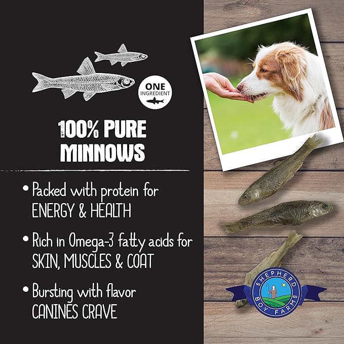 Freeze Dried Dog and Cat Treats, Minnows, All Natural Single Ingredient Freeze-Dried Dog Treat & Snacks, Made in USA, High in Protein, Essential Nutrition of Raw Food, 5oz