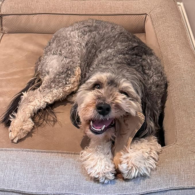 SPOT Dura-Fused Leather Small Bone Dog Toy – Durable Chew Toy with Real Leather & Jute, Squeaker, and Double-Stitched Seams for Moderate Chewers, Small & Medium Dogs, 7in