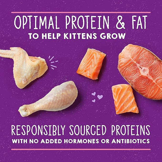 Stella & Chewy's Carnivore Cravings Purrfect Paté - Premium Grain-Free Wet Kitten Food - Chicken & Salmon Recipe - High Protein with Bone Broth - Perfect for Picky Kittens - 5.2oz Cans (12 Pack)