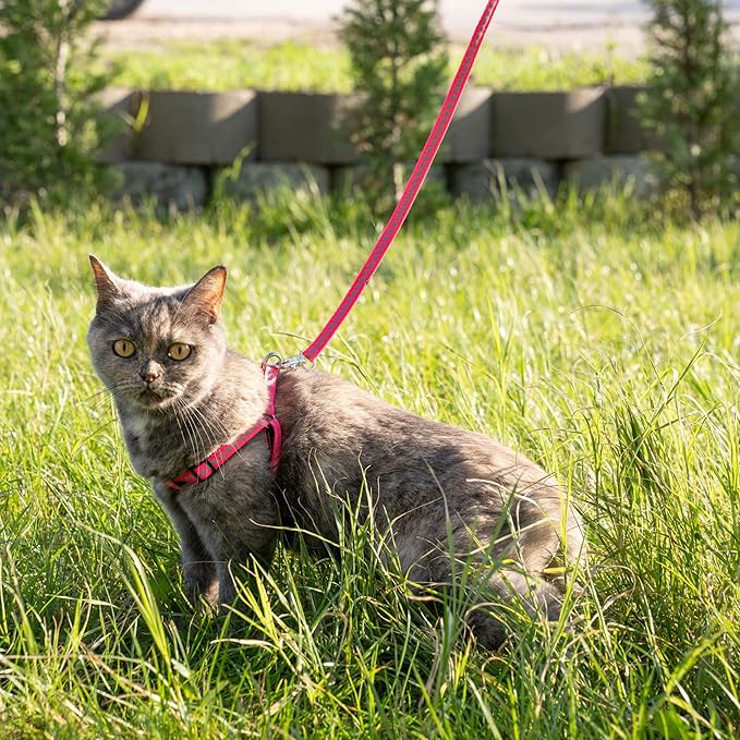 Filbert Cat Harness and Leash Set with Reflective Strip, Thin Cat Harness Escape Proof with Leash, Step-in, Adjustable, Indoor Outdoor, Easy-to-Put-On