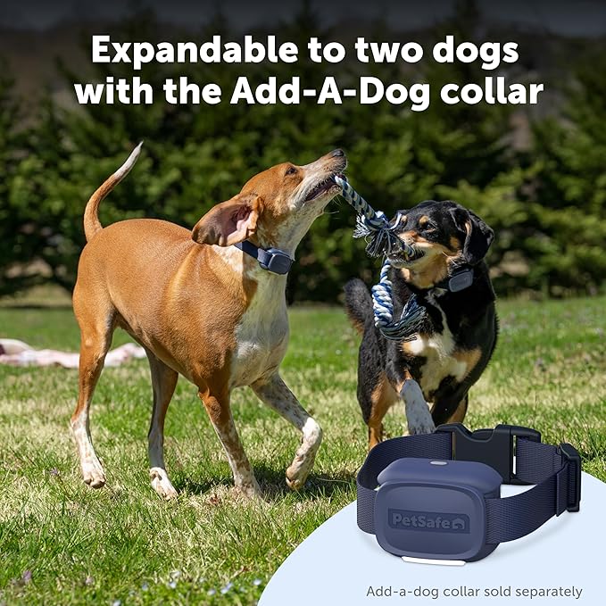 PetSafe Core Dog Trainer with Remote – Waterproof Training Collar – 1000 Foot Range – Tone, Vibration and 15 Levels of Static