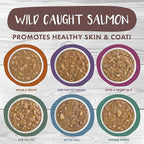 Weruva Classic Stew Cat Food, The Stew Crew Variety Pack, 3oz Pouch (Pack of 12)