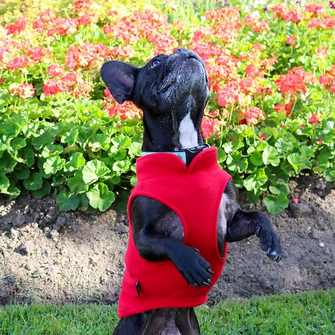 JACKO & CO - Fleece Vest Sweater with Leash Ring - Soft Lightweight Breathable for Puppies Small Medium Dogs, Kitten, Cats, Chihuahua - Warm for Fall/Autumn/Winter (Red, X-Small 2-4lbs)