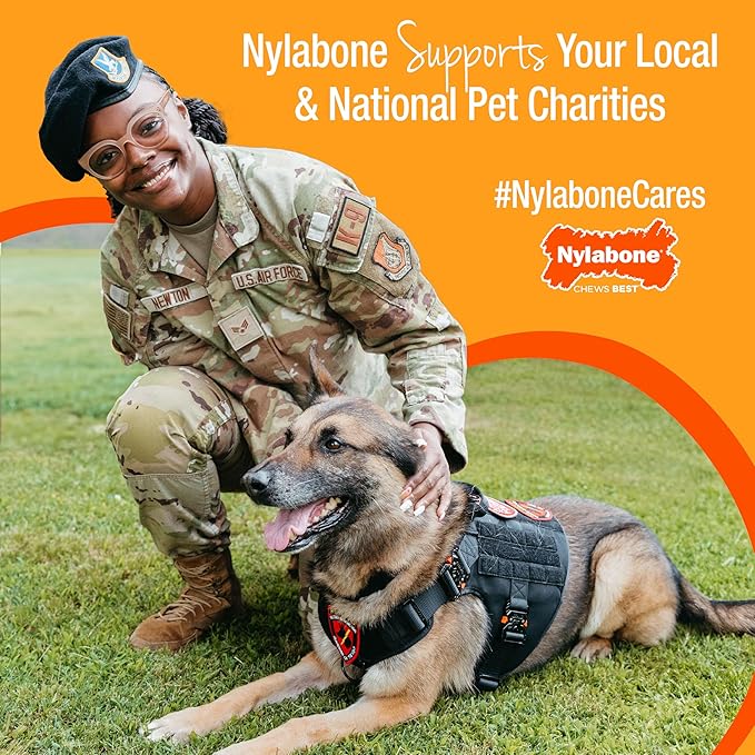 Nylabone Lobster Power Chew Toy for Dogs, Dog Toys for Aggressive Chewers, Filet Mignon Flavor, Small Dogs - Up to 25 Ibs, 1 Count