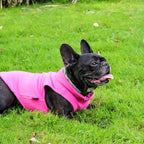 JACKO & CO - Fleece Vest Sweater with Leash Ring - Soft Lightweight Breathable for Puppies Small Medium Dogs, Kitten, Cats, Chihuahua - Warm for Fall/Autumn/Winter (Pink, XS (2-4lbs))