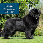 Wondercide Dog Collar - Flea, Tick, and Mosquito Repellent for Dogs - with Natural Essential Oils - Up to 4 Months Protection - Large