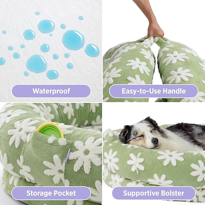 Lesure Human Dog Bed for Adult - Calming Human Size Dog Bed with Egg Foam Supportive Mat and Storage Pocket, Cute Modern Pet Beds with Jacquard Shaggy Plush & Anti Slip Bottom 55x37x10, Green
