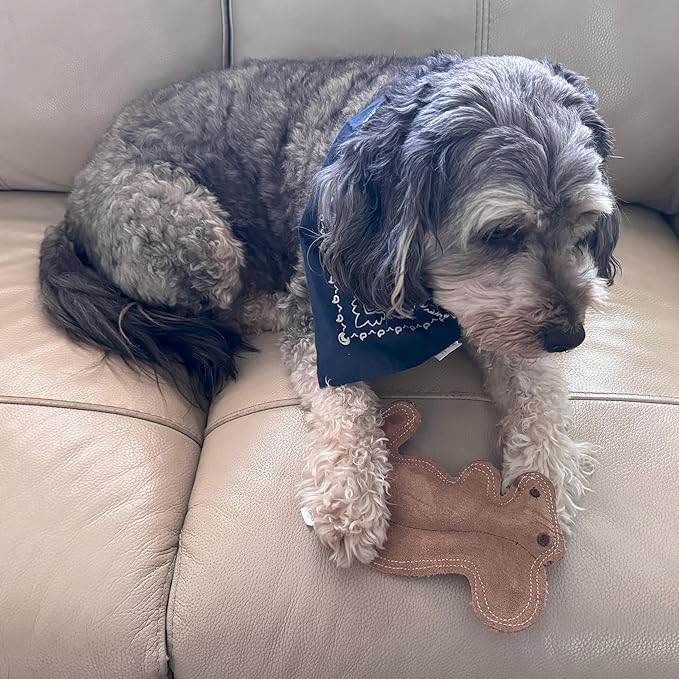 SPOT Dura-Fused Leather Squirrel Dog Toy – Real Leather & Jute Fabric, Double-Stitched & Durable, Soft Stuffed Squeaky Interactive Chew Toy for Moderate Chewers, Small & Medium Dogs, 8in