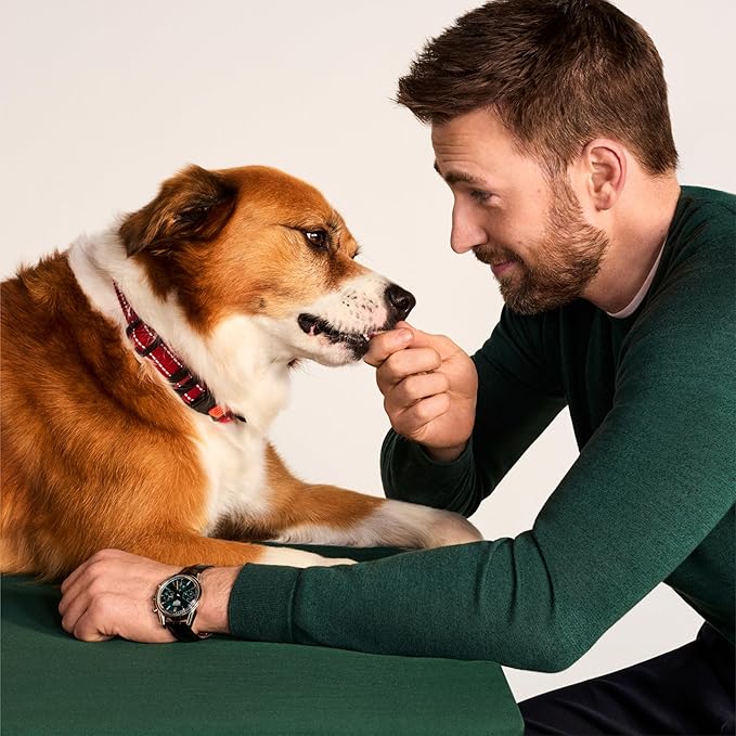 Jinx Chicken Dog Training Treats – Healthy All-Natural Mini Bite-Sized Dog Treats for Training with Cage-Free Chicken - Pet Products for All Dogs (Puppies, Adults & Seniors) - 4oz