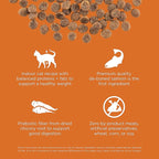 Go! Solutions Skin + Coat Care, Grain-Free Dry Cat Food, Salmon Recipe, 3 lb Bag