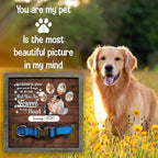 Personalized Picture Pet Loss Sign Frames with Your Pet Name and Picture Bereavement for Loss of Dog or Cat Memorial In Memory Sentimental Memorial Products for Friends Decor