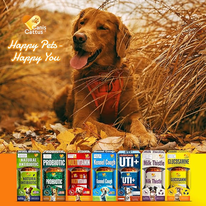 Canis&Cattus Liquid Glucosamine Dogs and Cats – Joint Supplement with MSM & Chondroitin – Mobility & Hip Support for Pets – Beef Flavor – 2oz