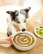 Ceramic Slow Feeder Bowls for Large Dogs, 3.0 Cups Slow Feeder for Fast Eaters, 48oz, 10in, White