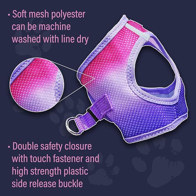 Doggie Design Dog Harness - No Choke Dog Harness, Dog Vest, Mesh Polyester, Pet Harness, Simple Step in and Go Design, Harness for Dog - Raspberry Sundae, S