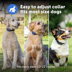 PetSafe Core Remote Trainer Add-A-Dog Collar – Extra Collar for Dog Training Collar with Remote – Waterproof – Tone, Vibration and 15 Levels of Static – Built-in LED Light