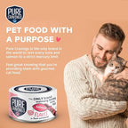 Salmon Flakes in Tuna Consommé, Canned Wet Cat Food Soup, 100% Mercury-Tested, Moist Can Fish, Grain-Free Protein, Non-GMO, 3oz, Pack of 12